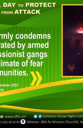 DÉCLARATION DE LA COMMISSION DES DROITS DE L’HOMME DU CAMEROUN À L’OCCASION DE LA CÉLÉBRATION DE LA JOURNÉE INTERNATIONALE POUR LA PROTECTION DE L’ÉDUCATION CONTRE LES ATTAQUES