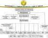 ORGANIGRAMME DE LA COMMISSION DES DROITS DE L'HOMME DU CAMEROUN