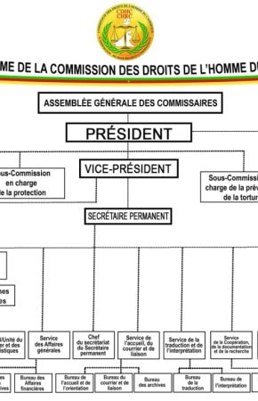 ORGANIGRAMME DE LA COMMISSION DES DROITS DE L’HOMME DU CAMEROUN