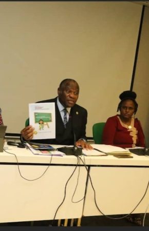 Chairperson of the CHRC participated in a workshop on implementing the decisions and recommendations of the African Committee of Experts on the Rights and Welfare of the Child (ACERWC )