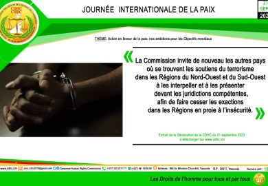 RAPPORT SUR L’ETAT DES DROITS DE L’HOMME AU CAMEROUN: LA CDHC ET LES ÉTATS-UNIS RENFORCENT LES MÉCANISMES DE PARTAGE D’INFORMATIONS