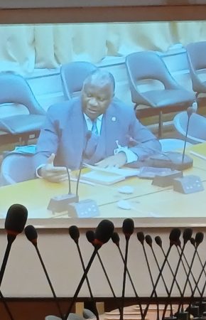 Geneva: The CHRC at the close-doors Inter-mechanisms meeting to improve advocacy for human rights defenders