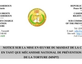NOTICE SUR LA MISE EN ŒUVRE DU MANDAT DE LA CDHC EN TANT QUE MÉCANISME NATIONAL DE PRÉVENTION DE LA TORTURE (MNPT)