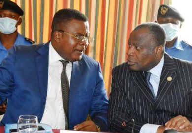 JOURNÉE MONDIALE DE L’ENVIRONNEMENT : LA CDHC SALUE LES EFFORTS DU GOUVERNEMENT ET INVITE L’ENSEMBLE DE LA POPULATION À CONTRIBUER DAVANTAGE À LA PROTECTION DE LA PLANÈTE