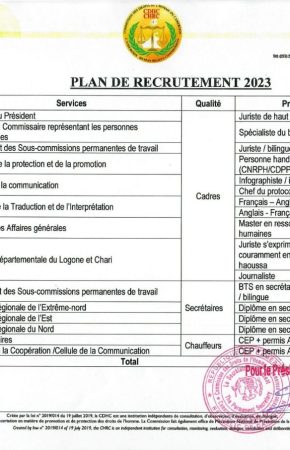 PLAN DE RECRUTEMENT 2023