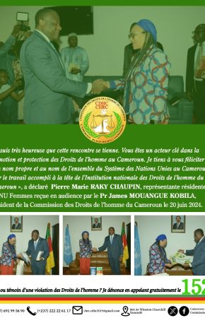 Audience à la CDHC : Pierre Marie RAKY CHAUPIN d’ONU Femmes félicite le Pr James MOUANGUE KOBILA