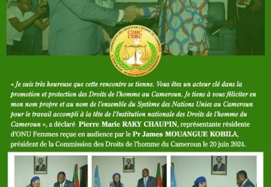 Audience à la CDHC : Pierre Marie RAKY CHAUPIN d’ONU Femmes félicite le Pr James MOUANGUE KOBILA