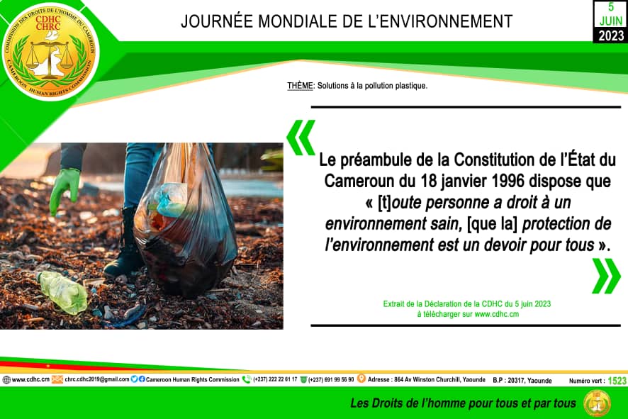 Journée Mondiale de l&rsquo;environnement