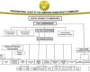 ORGANISATIONAL CHART OF THE CAMEROON HUMAN RIGHTS COMMISSION