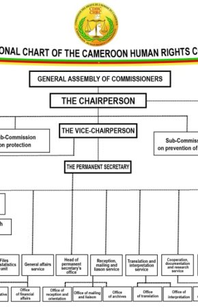 ORGANISATIONAL CHART OF THE CAMEROON HUMAN RIGHTS COMMISSION