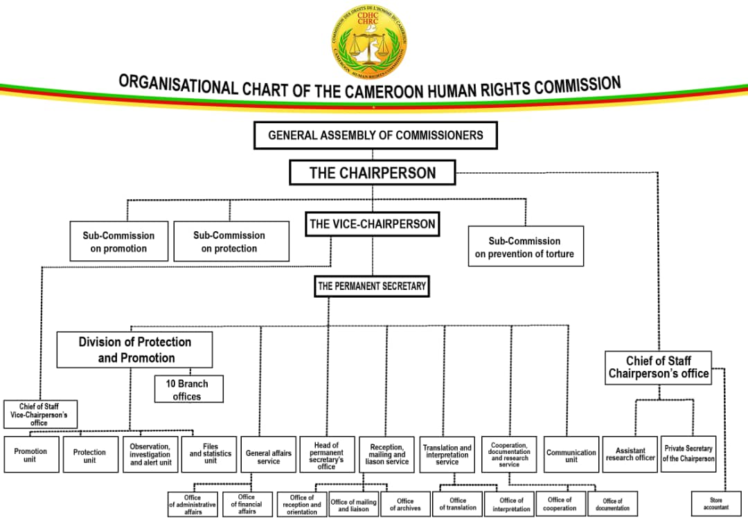ORGANISATIONAL CHART OF THE CAMEROON HUMAN RIGHTS COMMISSION