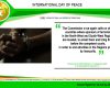 STATEMENT BY THE CAMEROON HUMAN RIGHTS COMMISSION TO MARK THE INTERNATIONAL DAY OF PEACE