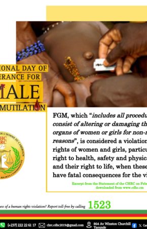 STATEMENT BY THE CAMEROON HUMAN RIGHTS COMMISSION TO MARK THE 17TH INTERNATIONAL DAY OF ZERO TOLERANCE FOR FEMALE GENITAL MUTILATION