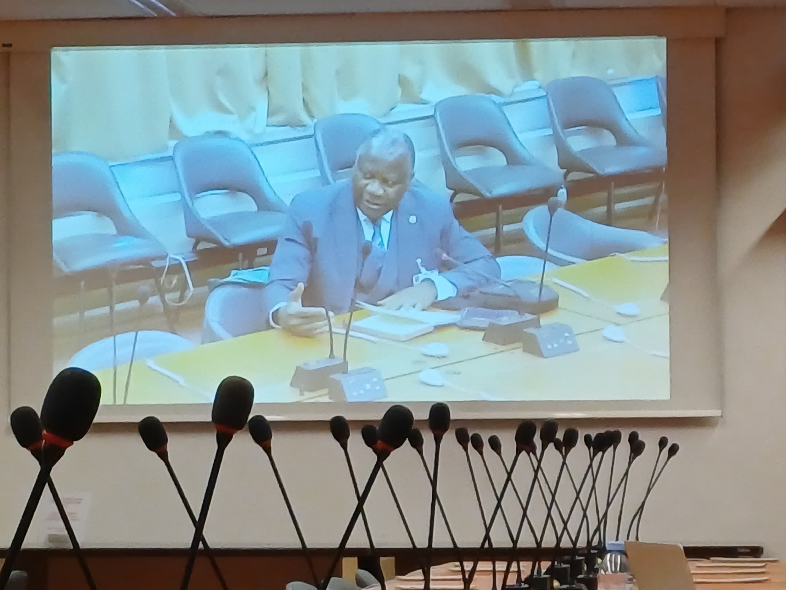 Geneva: The CHRC at the close-doors Inter-mechanisms meeting to improve advocacy for human rights defenders