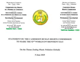 Ending Plastic Pollution Globally