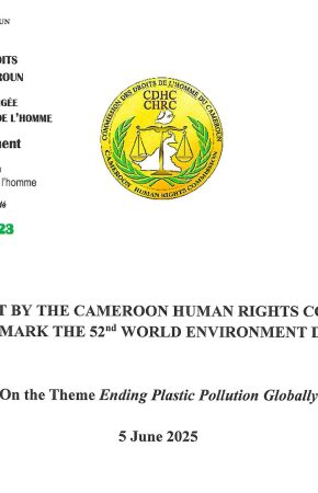 Ending Plastic Pollution Globally