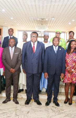 REGIONAL WORKSHOP ON ELECTIONS FOR FRENCH-SPEAKING NATIONAL HUMAN RIGHTS INSTITUTIONS