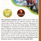 Awareness visuals of the Statement by the cameroon human Rights Commission to mark the African Human Rights Day – 21 October 2026