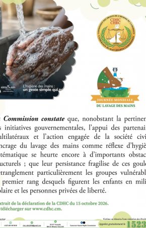 VISUELS DE SENSIBILISATION DE LA DÉCLARATION DE LA CDHC À L&rsquo;OCCASION DE LA 19e ÉDITION DE LA JOURNÉE MONDIALE DU LAVAGE DES MAINS, 15 oct 2026