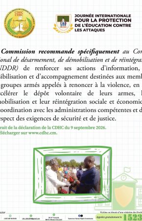 Visuels de sensibilisation de la Déclaration de la CDHC à l’occasion de la 7e édition de la Journée internationale pour la protection l’éducation contre les attaques