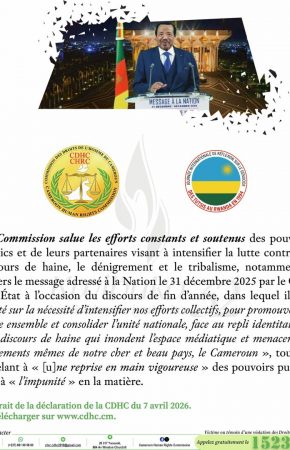 Visuels de sensibilisation de la Déclaration de la CDHC à l’occasion de la journée internationale de réflexion sur le génocide des Tutsis au Rwanda en 1994